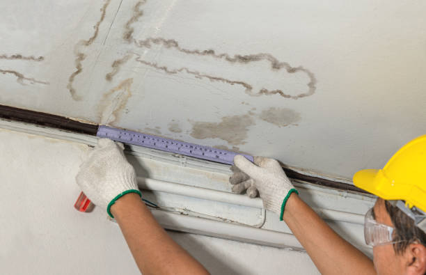 Reliable Burst Pipe Cleanup contractor in Troy, IL by Water Damage Irwin